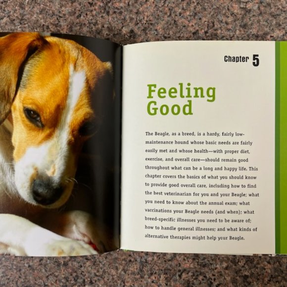 Book about Beagles - Picture 3 of 4